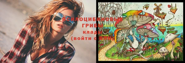 mix Верея